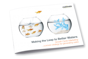 Growth Cycle Marketing Cvr Growth Cycle Marketing Cvr