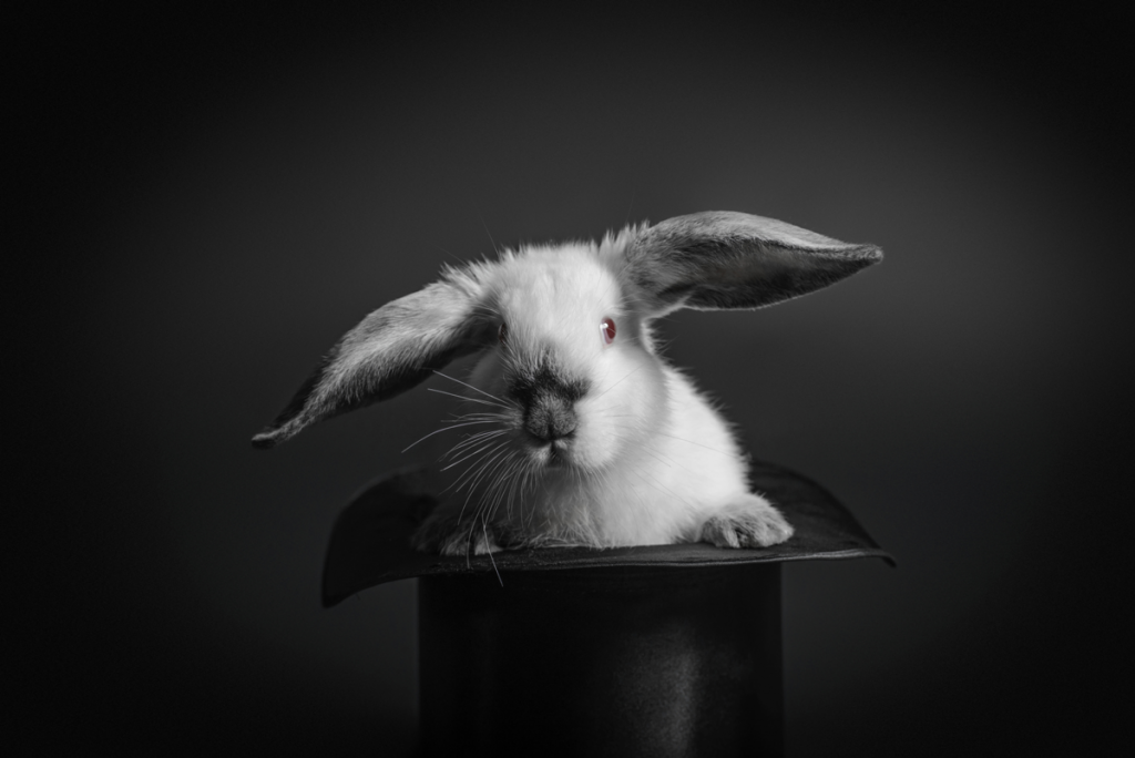 5 (Un)Magical Ways to Draw in Customers with Content