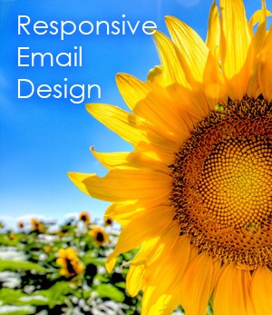 Responsive Email Design