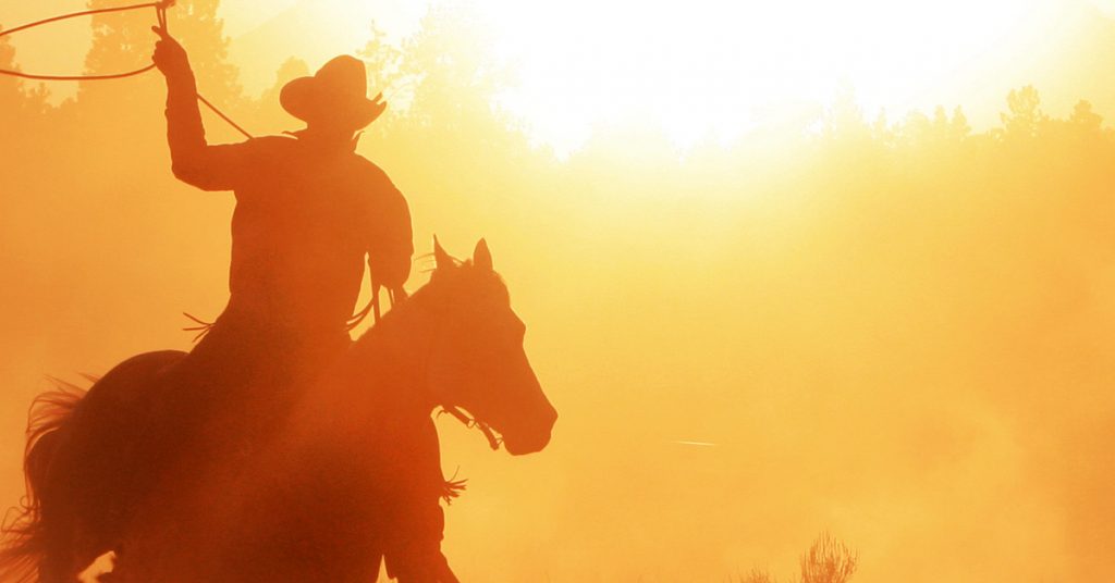 Wrangle Blog 1200x628